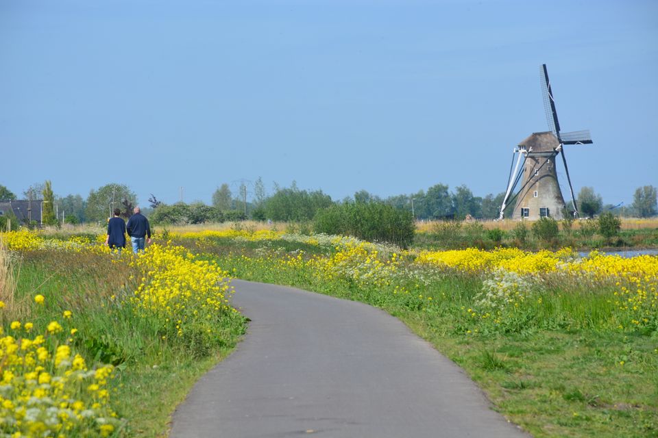 Wandelaars in de polder bij Haastrecht