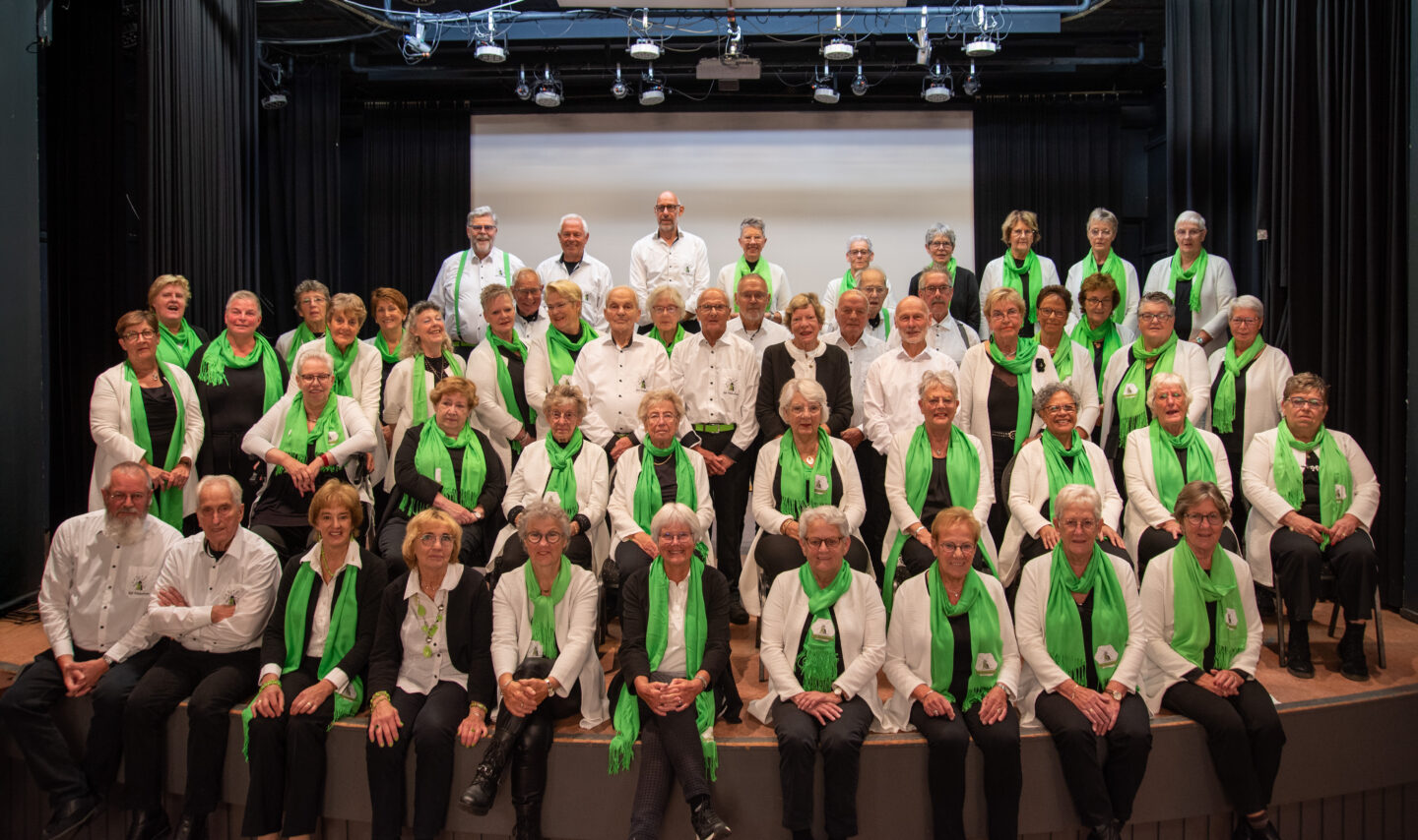Singalong met het Polderkoor en de Vlisterzangers